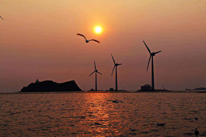pinwheel, wind, water, sea, beautiful scenery, bird, camel joe, fear the sea scenery, beautiful sunset, sunset, wind power, scenics - nature, sky, desolation