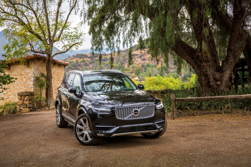 First Edition, motor vehicle, branch, trunk, XC90, tree, Volvo, no people, AWD, land vehicle, 2K, retro styled, plant, transportation, land, road, day