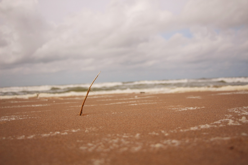 sunlight, Dutch, selective focus, sport, arid climate, water, sand, 5K, North Sea, tranquility, outdoors, non-urban scene, scenics - nature, vacations