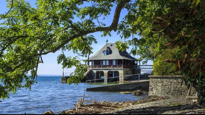 4K, building exterior, luxury, lake constance, brown, growth, near shore, house, building, architecture, built structure, gray, branch, day, background