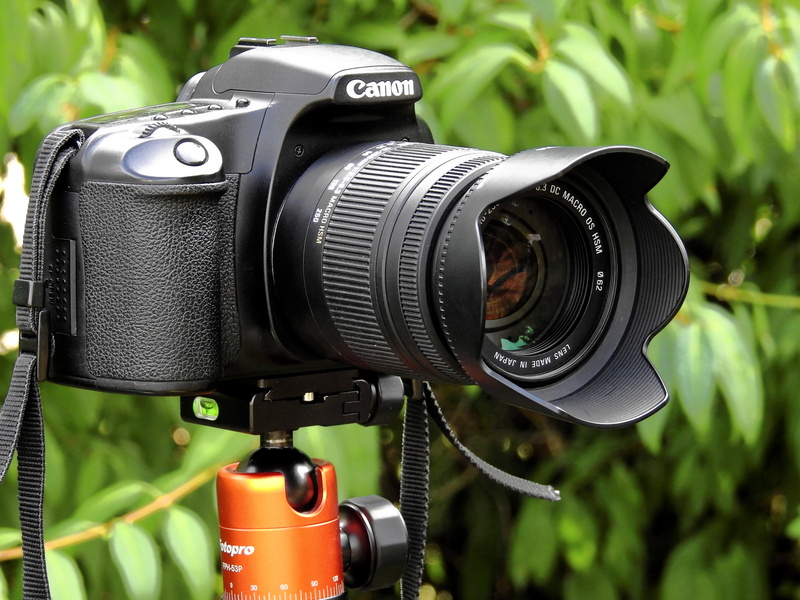 lens, green color, no people, photograph, digicam, canon, photographing, electronics industry, activity, slr camera, photography, photography themes, camera - photographic equipment