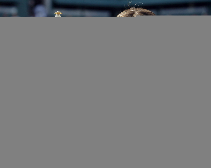 switzerland, player, 2K, roger federer, roger, tennis, award, tennis player, federer, cup