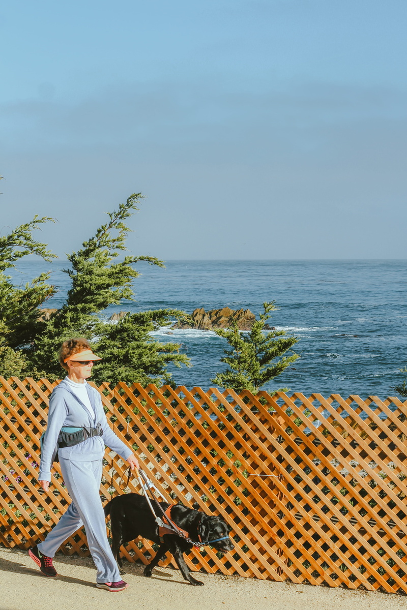 water, labrador, sea, day, beside, blue, 4K, standing, outdoors, nature, ocean, retriever, scenics - nature, casual clothing, plant, daytime, green, person