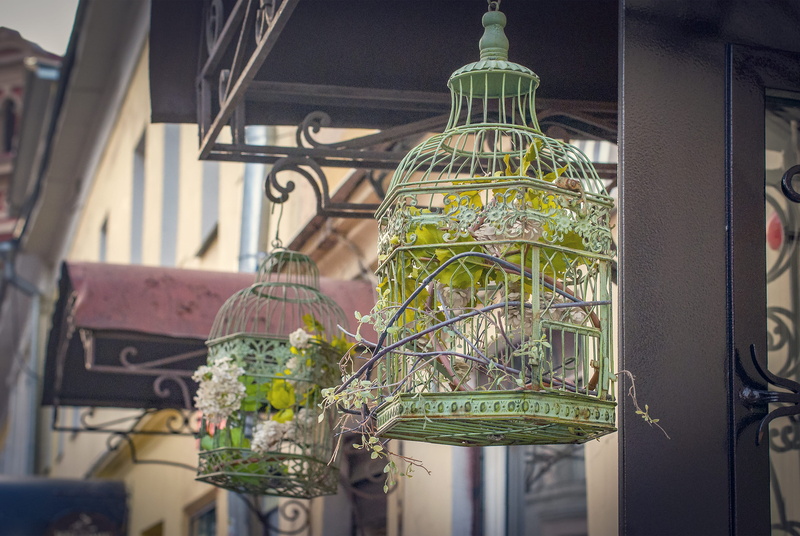 glass - material, 4K, cages, metal, nature, close-up, hanging, door visor, architecture, old, vintage, birdcage, no people, flowers, building exterior