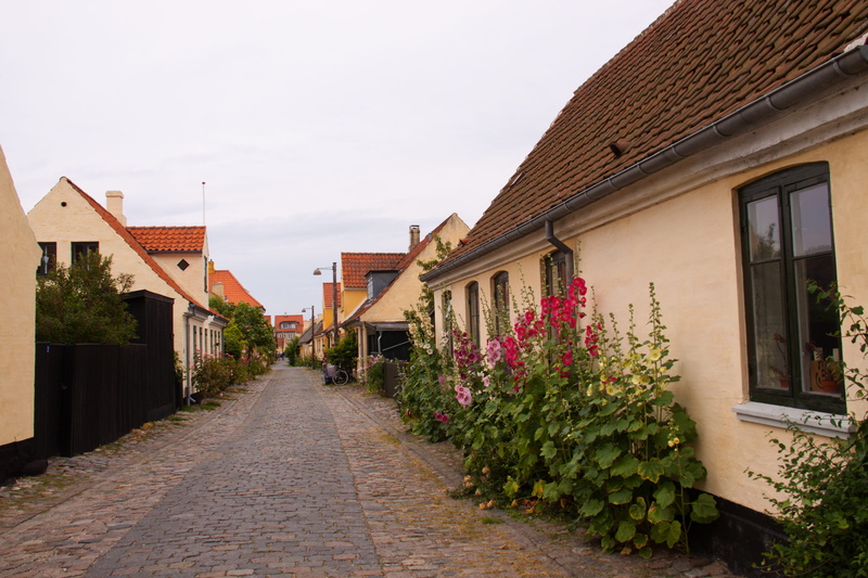 outdoors, facilities, direction, residential district, alley, houses, no people, 4K, building, footpath, window, house, flowers, day, street, town, yellow