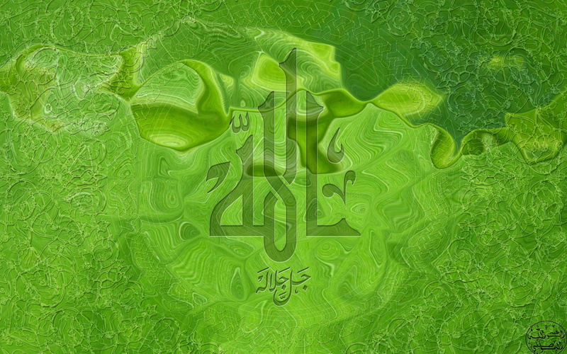 religion, directly above, Islam, no people, finance, plant, colored background, Muslim, activity, creativity, nature, outdoors, backgrounds, full frame