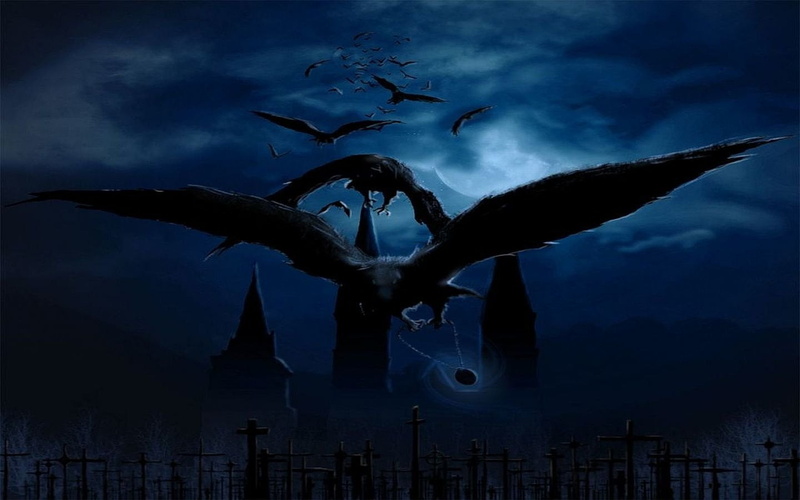 animal themes, Bird, animal, group of animals, animals in the wild, 720P, illuminated, spread wings, ominous, Bat, nature, animal wildlife, dusk, birds