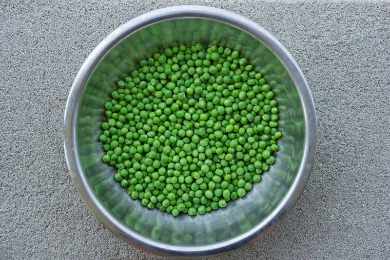 peas, background, fresh, floating on water, vegetarian, vegetable, cooking, wellbeing, round, large group of objects, container, nature, pebble, healthy eating