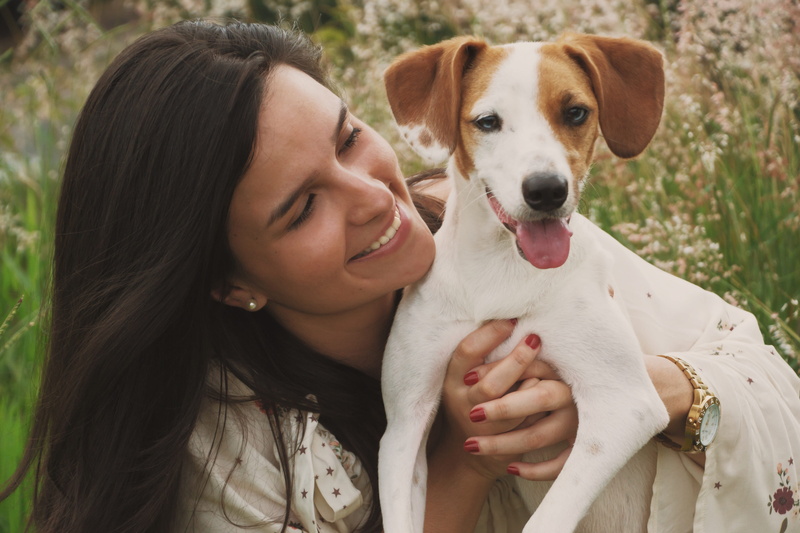 pet, headshot, summer, grass, puppy, fur, purebred, nature, dog, domestic, emotion, real people, young, fun, coat, small, portrait, young women, happiness