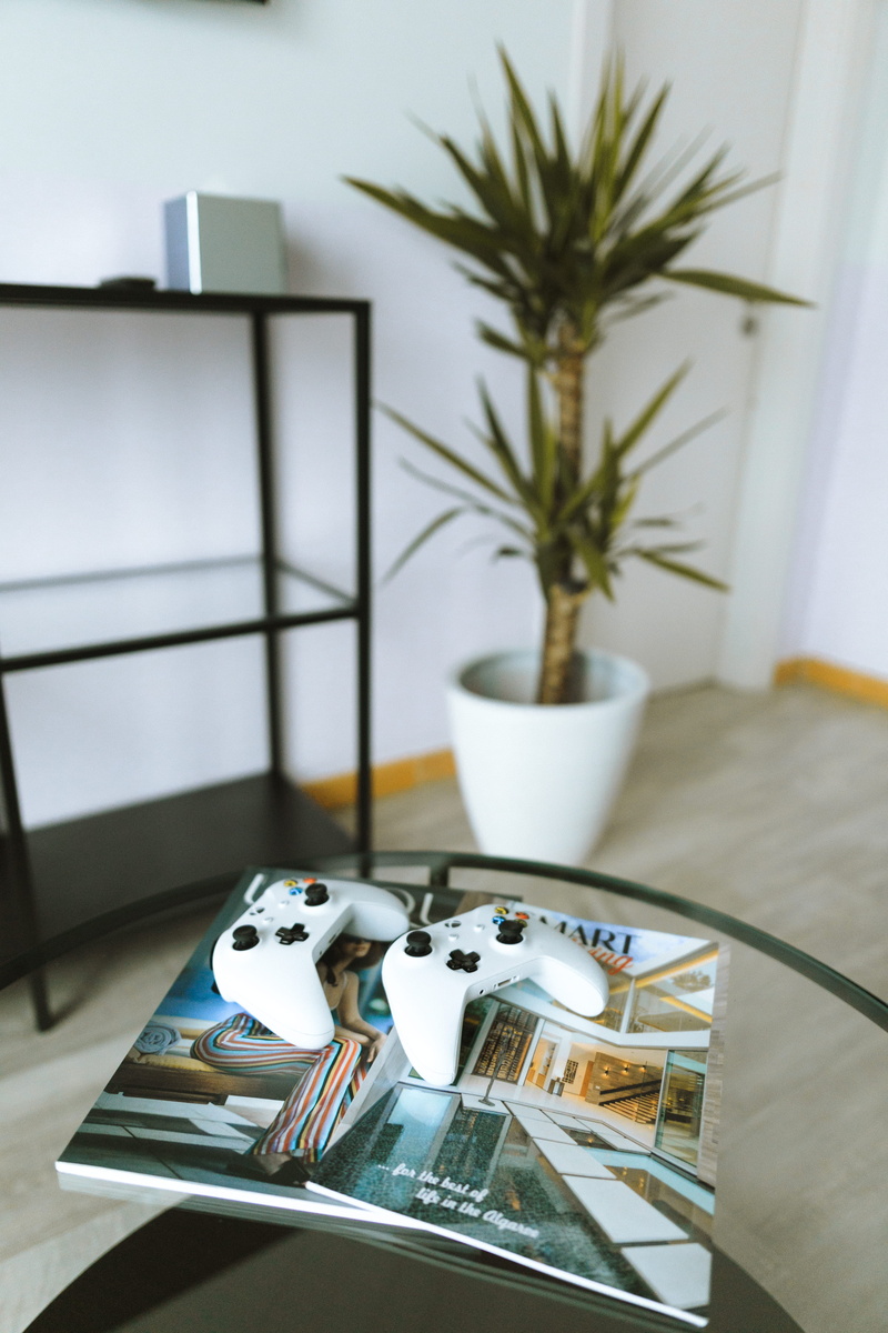 home, magazine, kitchen utensil, day, top, gamer girl, joypad, table, one, nature, focus on foreground, gaming., glass, plant, book, controller, gaming family