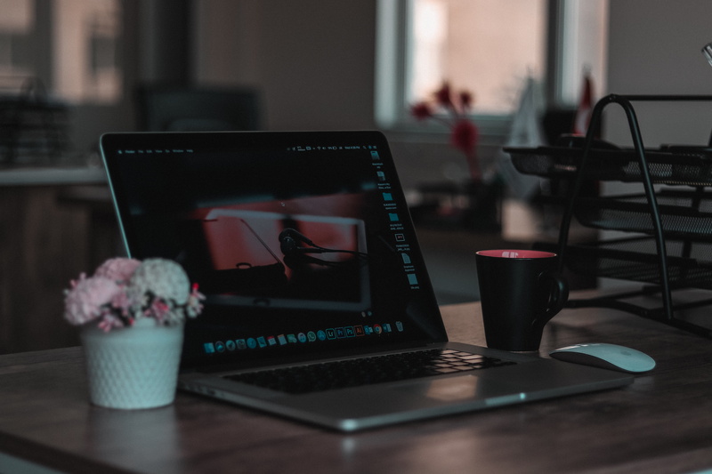 focus on foreground, focus, windows, internet, photography, keyboard, laptop, indoors, coffee cup, flowering plant, blurred background, artificial flowers