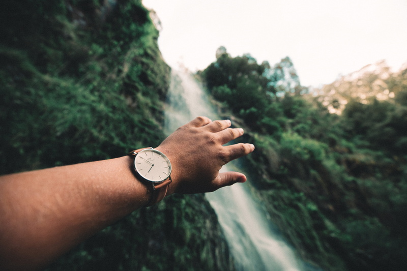 accessory, tree, wristwatch, personal perspective, body part, wrist, arm, digital watch, close-up, outdoors, focus on foreground, human body part, day