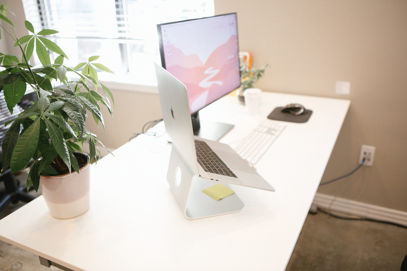 potted plant, pro, keyboard, table, laptop, mouse, electronics, company, designer, day, computer keyboard, still life, marketing, nature, business, office