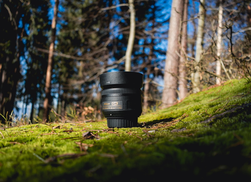 forest, rusty, green, trunk, green color, technology, lens, selective focus, photography, electronics, grass, flora, czechia, conifer, vegetation, tree trunk