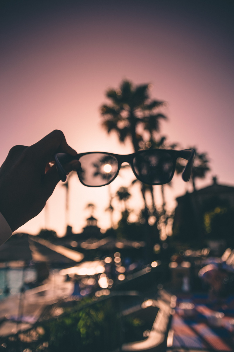 sunglass, focus on foreground, dusk, 5K, silhouette, one person, sunglasses, tree, black, vase, los angeles, west coast, person, real people, finger, human