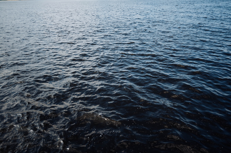 plant, sky, nature, cloud, time, horizon, high angle view, rock, scenics - nature, lake, wave, backgrounds, oars, rippling, idyllic, tranquility, day, paddle