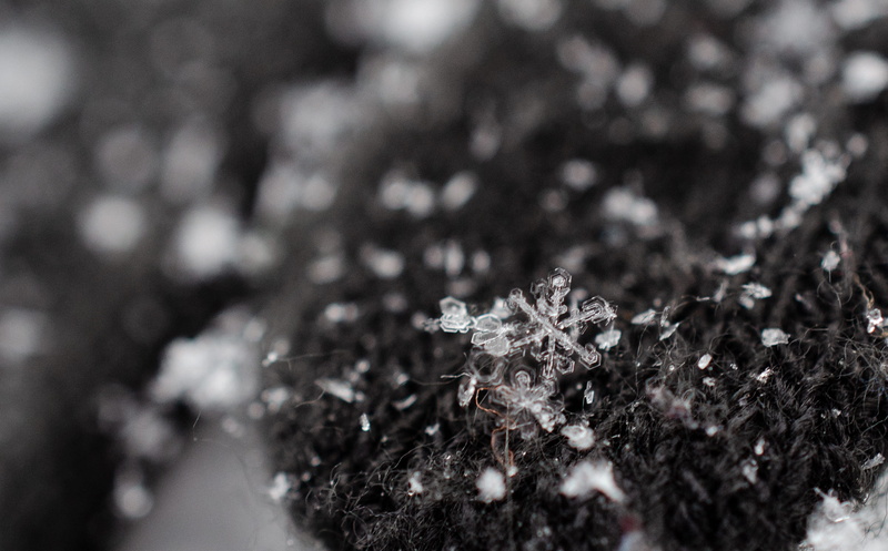 safe, coin, vulnerability, nuclear, no people, smoke pipe, flowering plant, 2K, tar, beauty in nature, selective focus, close, cold temperature, jewelry