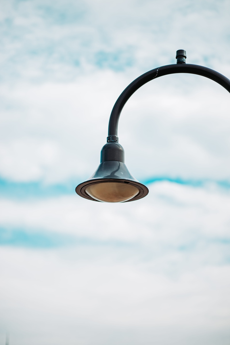 no people, black, lamp post, accessories, close-up, outdoors, street light, light, low angle view, plant, light fixture, adapter, electric lamp, jewelry