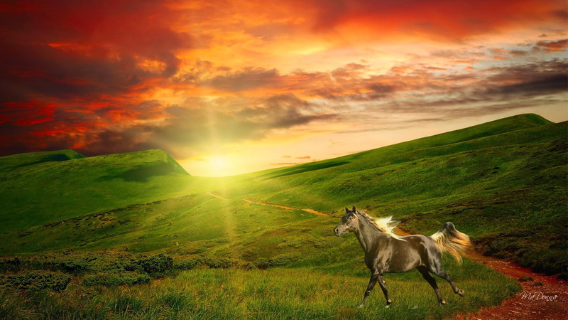 field, country, sunset, pasture, horse, ranch, clouds, beau, 1080P, evening, hills, farm, bright, summer