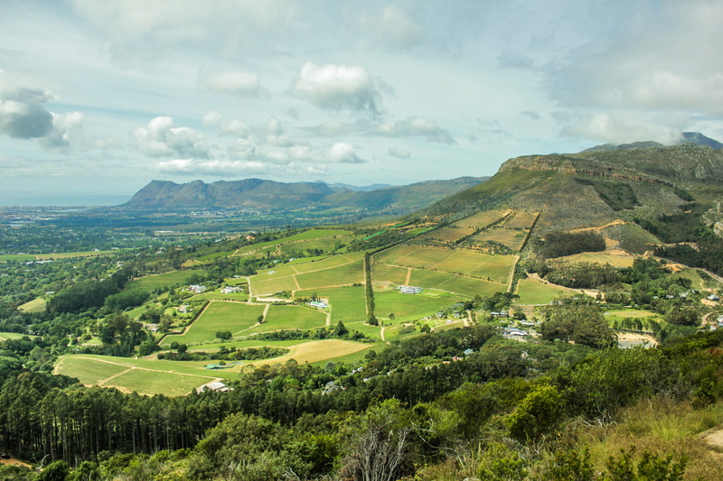 day, beauty in nature, cape town, view, agriculture, farming, green color, mountain, tranquil scene, constantia, no people, tranquility, scenics - nature