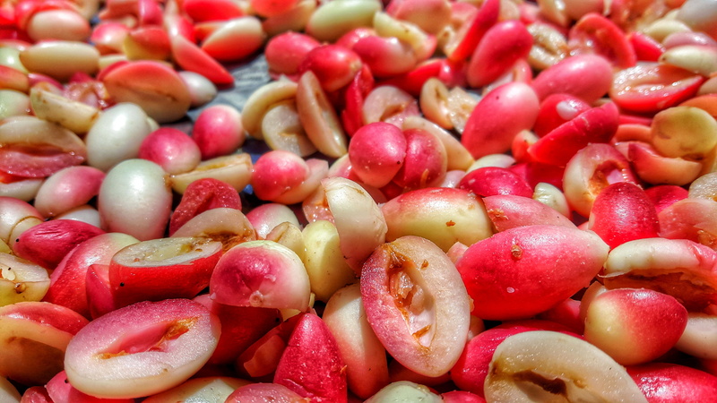 abundance, freshness, healthy eating, chopped, mauritius, vegan, indoors, close-up, tomato, vegetarian food, still life, beau bassin-rose hill, wellbeing