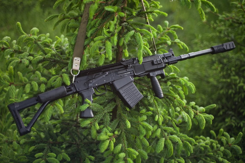 aiming, tree, nature, safety, plant, samozarjadnyj, uniform, spruce, strap, sniper, government, day, protection, camouflage, Hammer, weapon, the handle