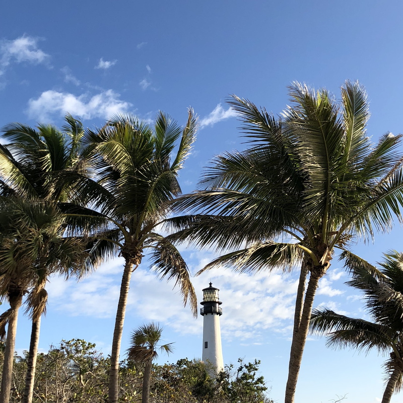 low angle view, blue, 2K, el farito lighthouse, travel destinations, building exterior, palm tree, tropical climate, cloud - sky, growth, architecture