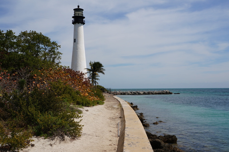 plant, direction, tower, key biscayne, 4K, day, miami, no people, lighthouse, florida, horizon over water, built structure, beach, guidance, sky, nature