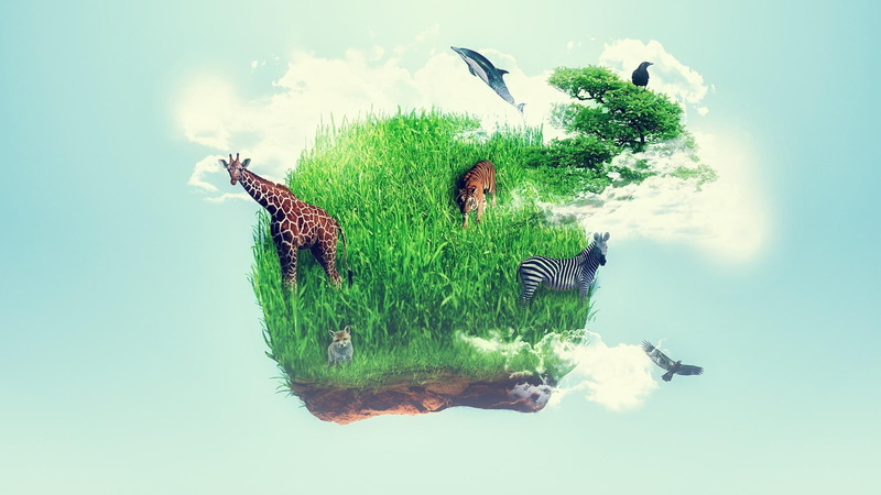 planet, little, imagination, animal, 1080P, island, giraffe, photography, grass