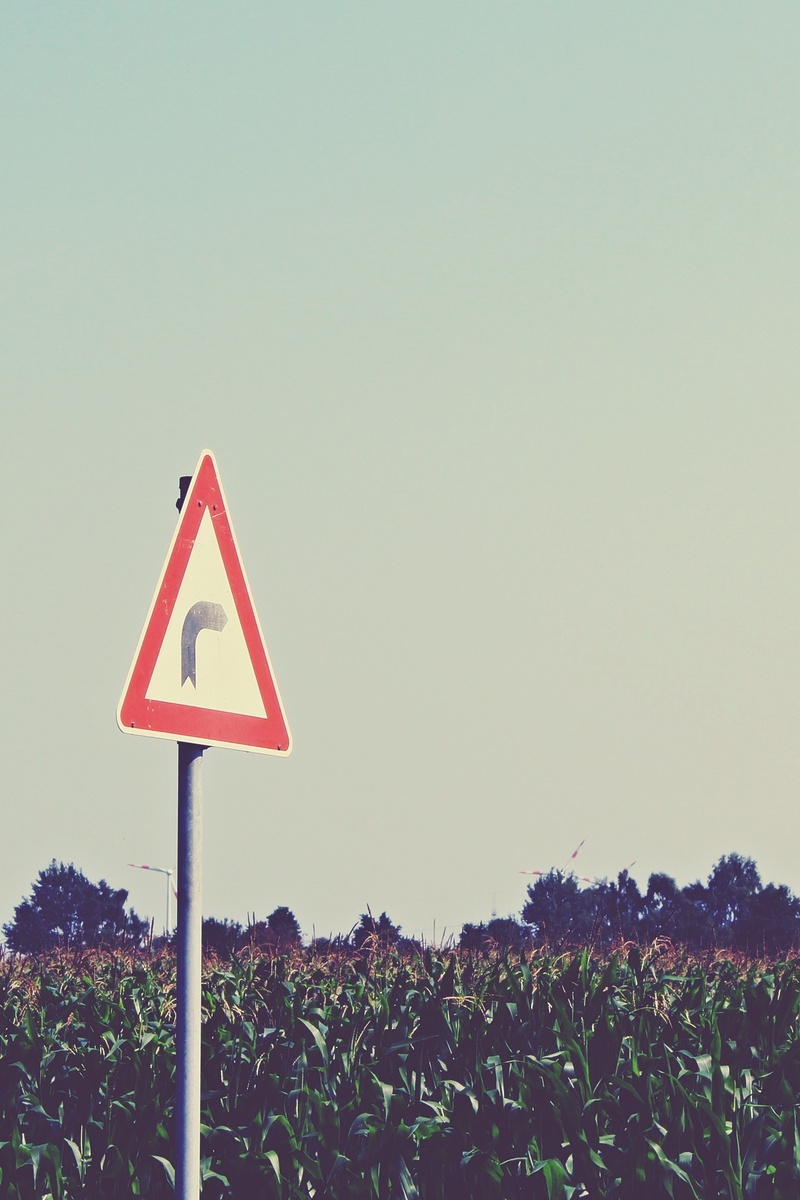 communication, no people, sign, road sign, traffic, clear sky, curve, agriculture, cornfield, plant, guidance, day, tree, corn, auto, copy space, nature