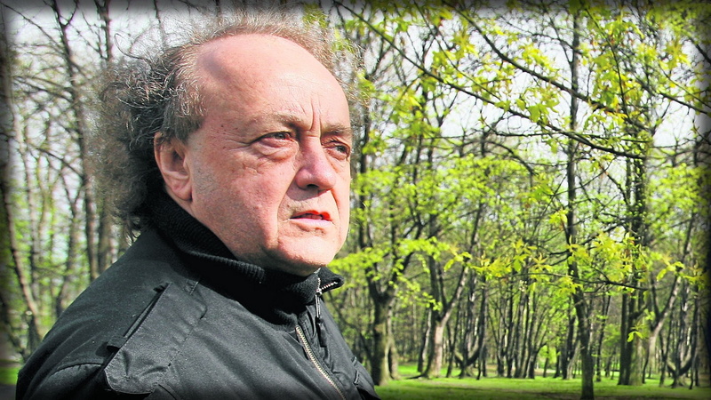 mature men, men, senior adult, 1080P, lifestyles, adult, nature, Forest, balding, Daylight, hair loss, Trees, plant, tree, senior men, outdoors, portrait