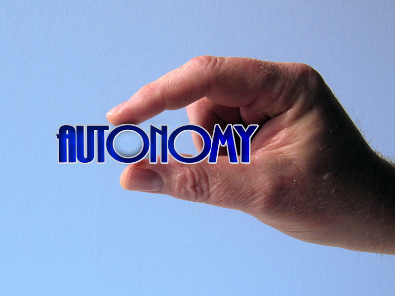 human hand, social networking, finger, 2K, right to self determination, business, independent, protection, wireless technology, sovereignty, fragile, independence