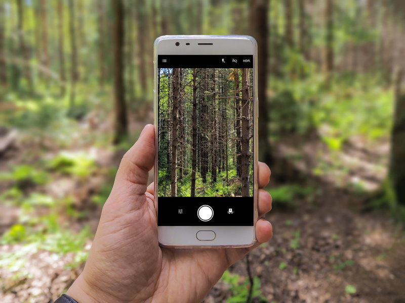 photo, finland, wilds, displaying, personal perspective, android, application, outdoors, lifestyles, 4K, real people, oneplus, human hand, portable information device