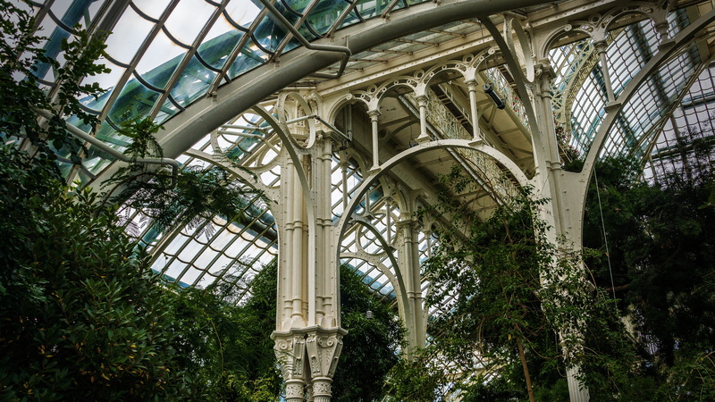 growth, nature, structure, vienna, 5K, travel, day, no people, outdoors, low angle view, plant, glass, tree, greenhouse, built structure, metal, the past