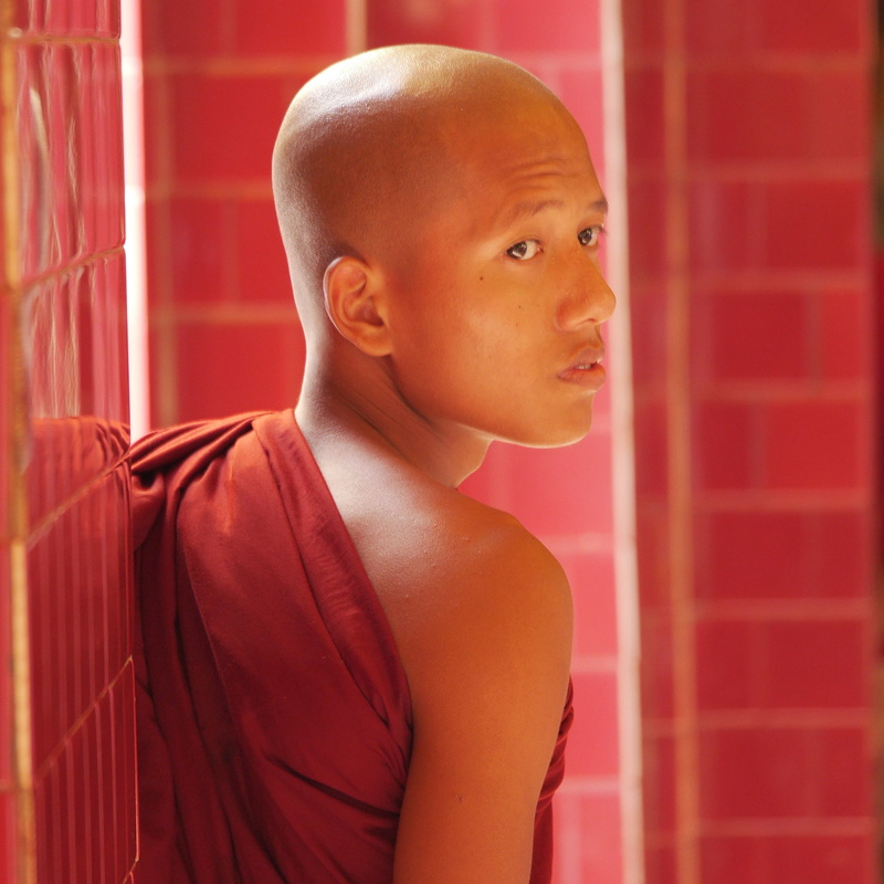 shaved head, buddhist, side view, people, monk, child, males, indoors, monastery, boys, burma, men, window, childhood, 2K, contemplation, looking, offspring
