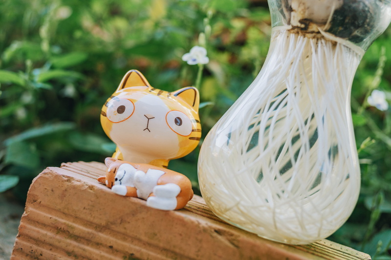 animal, figurine, roots, vase, toy, plant, nature, outdoors, container, no people, animal themes, fun, decor, flowers, animal representation, close-up