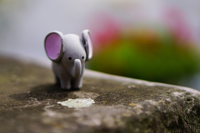 piggy Bank, day, single object, rock penguins, close-up, metal, binoculars, gray, 5K, savings, elephant, finance, no people, toys, rubber, animal representation