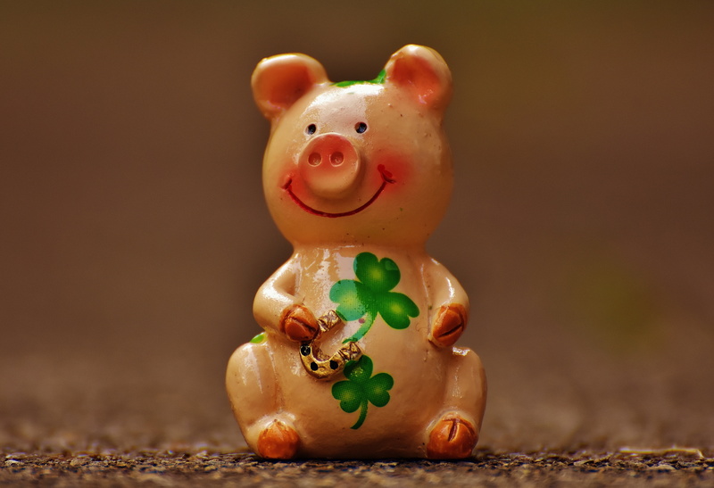 indoors, green, cute, studio shot, mammal, pink, funny, toy, piglet, close-up, four leaf clover, holiday, luck, piggy Bank, representation, macro, clover