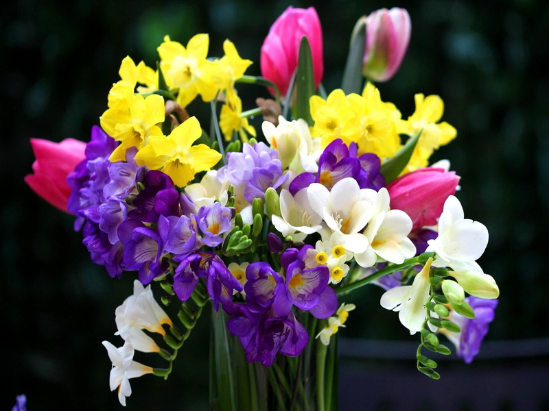 colorful, fresh, 1080P, pretty, bouquet, lovely, tulips, beautiful, still life, colors, flowers, nice, vase