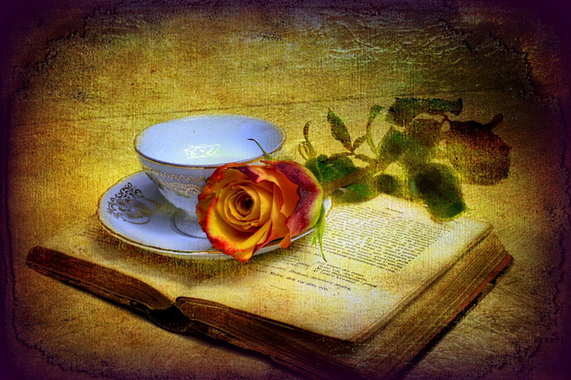 petals, lovely, rose, leaves, nice, coffee, book, still life, pages, old, 1080P, pretty, beautiful