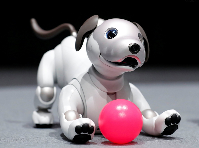 2K, close-up, piggy bank, focus on foreground, robot, art and craft, dog, studio shot, mammal, Sony Aibo, fun, no people, 4K, indoors, toy, representation