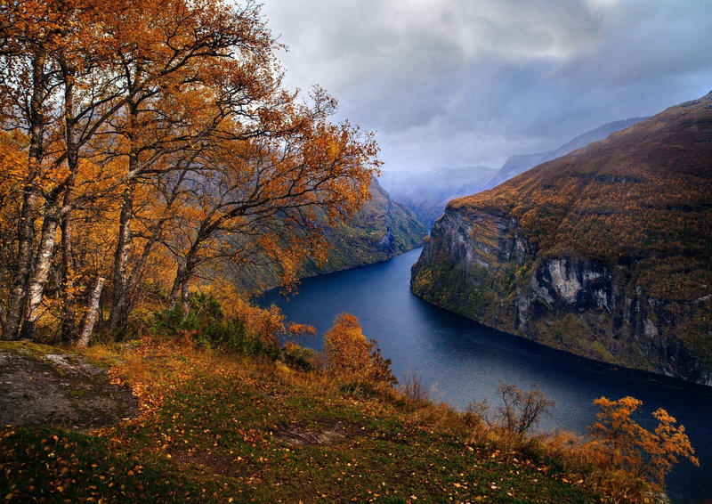 1080P, nature landscape fjord norway fall trees grass mountain clouds geiranger