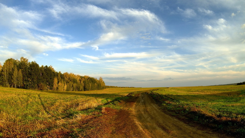 scenics - nature, rural scene, tranquil scene, field, sky, trail, land, plant, grass, dirt road, beauty in nature, tranquility, diminishing perspective