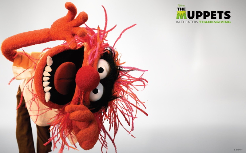 1080P, the muppet show