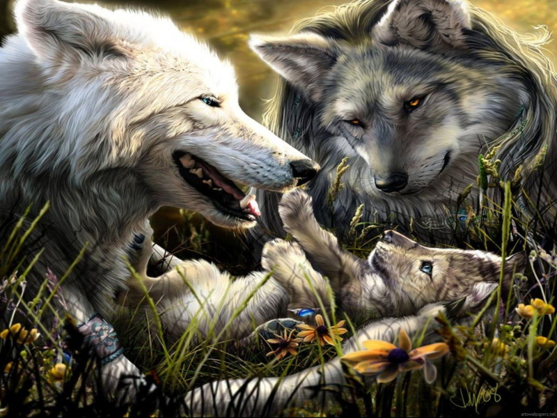 pretty, 1080P, playful, wolves, animals, family, blissful, peaceful