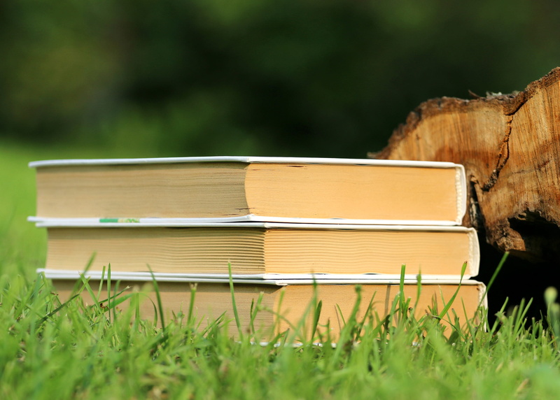 wood - material, plant, land, log, tree, reading, field, focus on foreground, nature, no people, selective focus, white, book, grass, growth, education