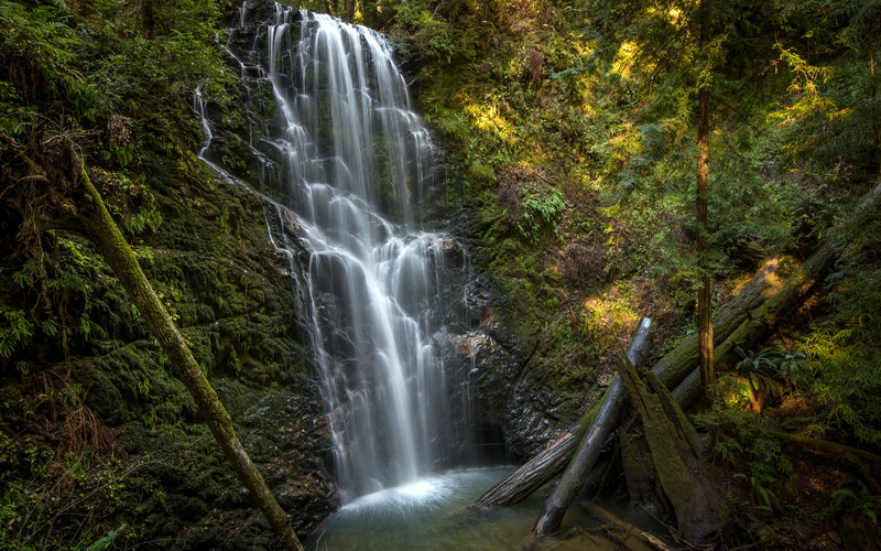 forests, water, photography, green, california, bigbasin, trees, berry, berrycreekfalls, bliss, 4K, redwoods, landscape, waterfalls, creek, nature