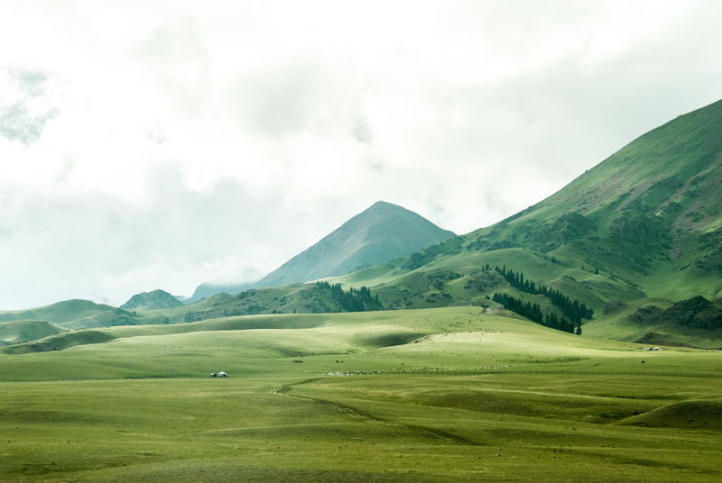 rural, golf, grass, cloud - sky, bliss, no people, herd, s, eye, non-urban scene, scenics - nature, countryside, hut, day, land, valley, field, nature