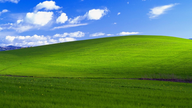 grass, Bliss, 1080P