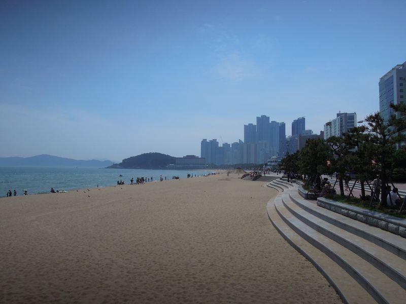 sea, tree, skyscraper, city, nature, blue, outdoors, water, cityscape, haeundae beach, incidental people, building exterior, sand, building, land, office building exterior